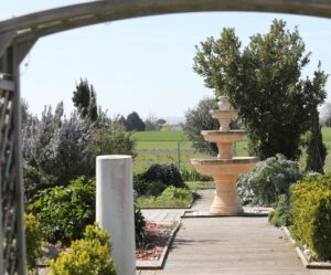 Le jardin antique autour de la fontaine