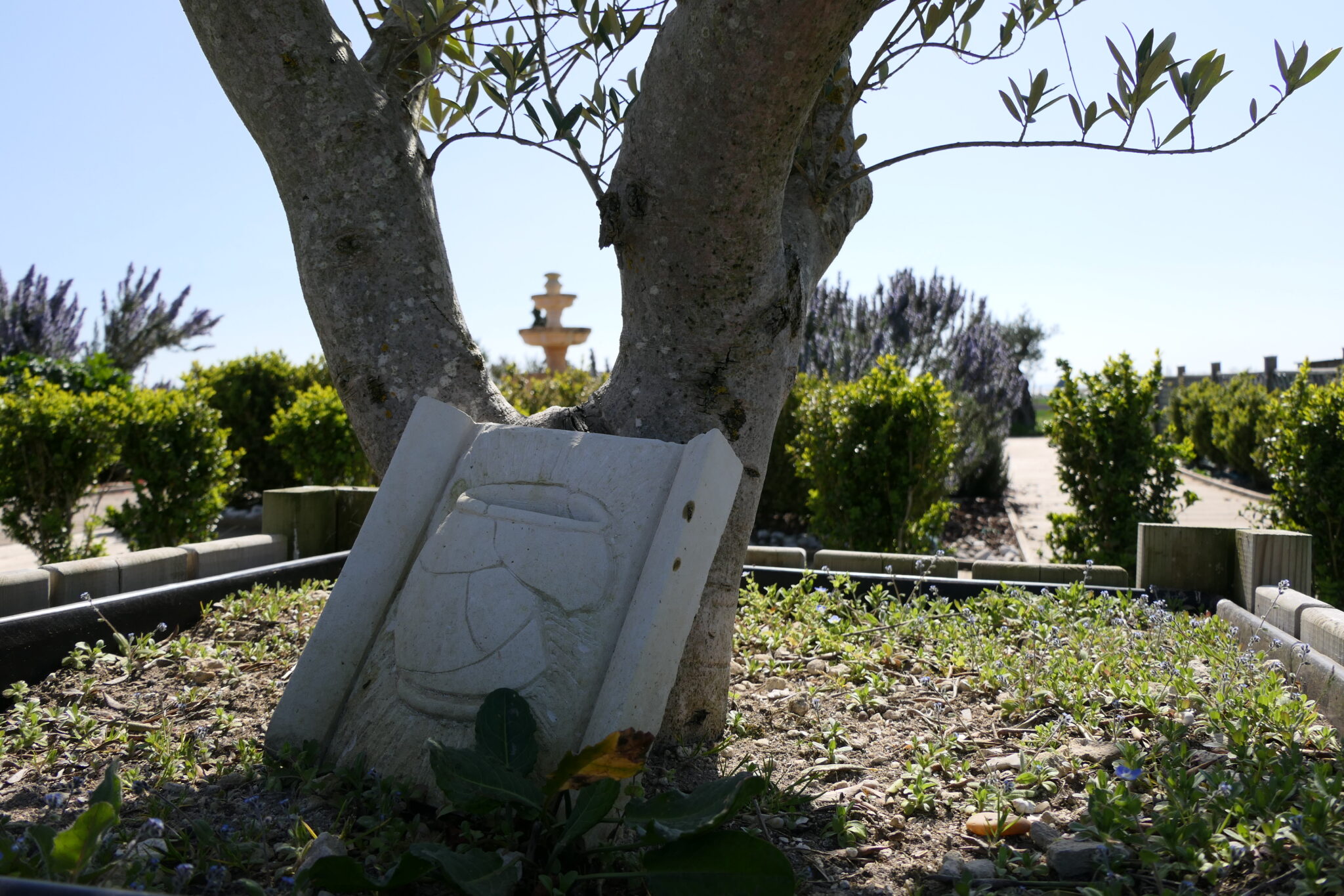 Pierre sculptée posée sur l'olivier du jardin antique