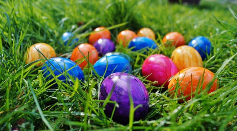 Oeufs en chocolat dans l'herbe